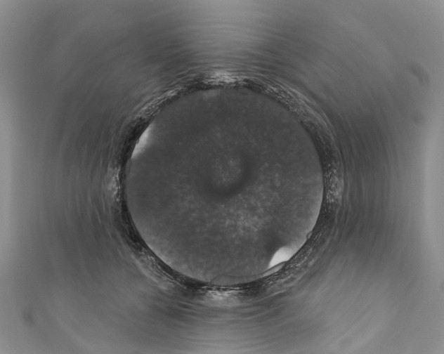 X0000110700560200907241127