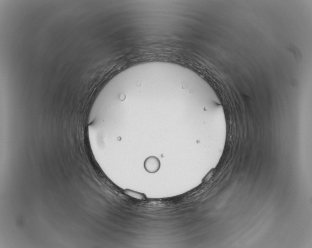 X0000110700562200907241127