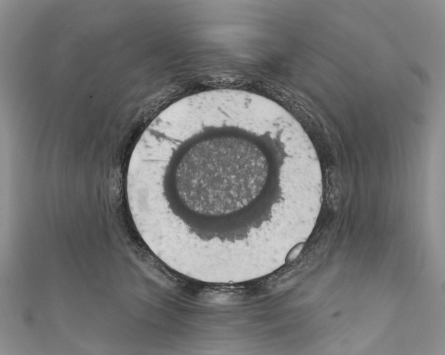 X0000110700563200907241127