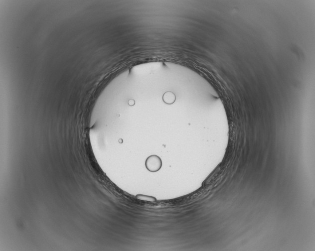 X0000110700564200907241127