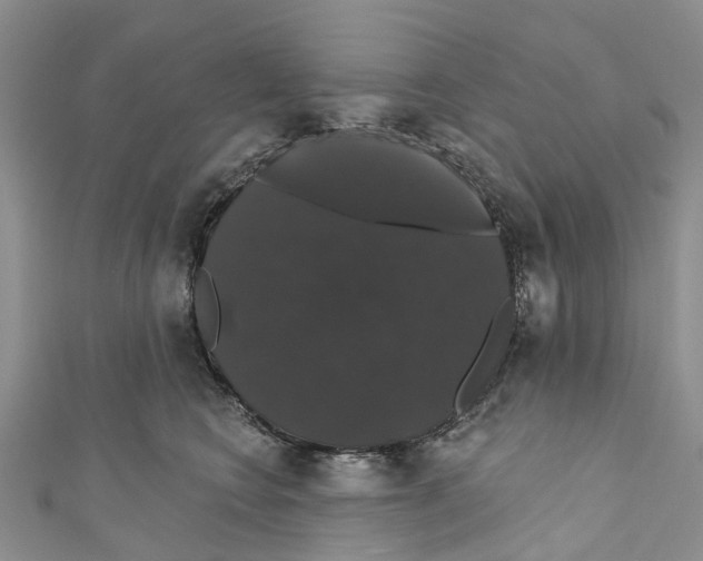 X0000110700566200907241127