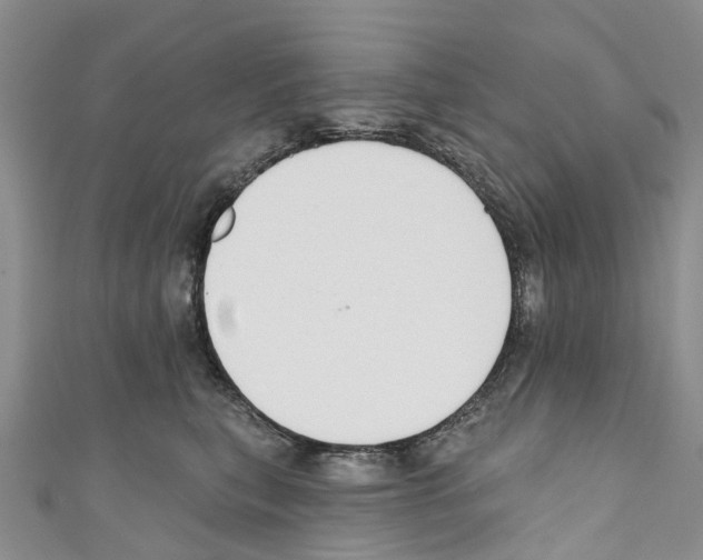 X0000110700567200907241127