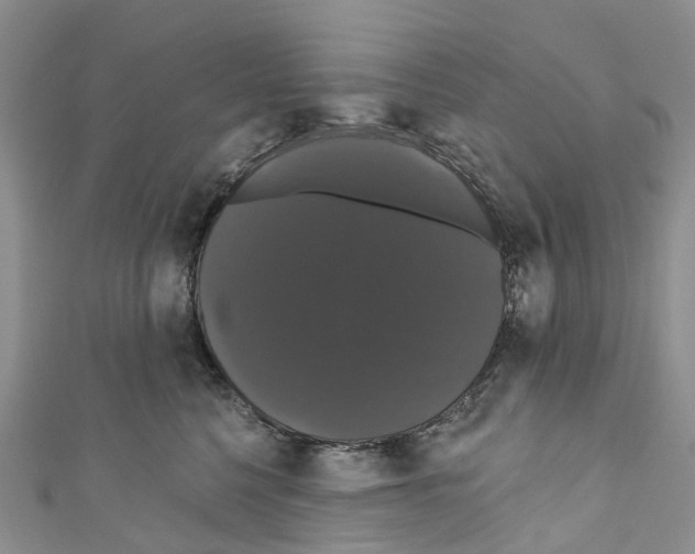 X0000110700568200907241127