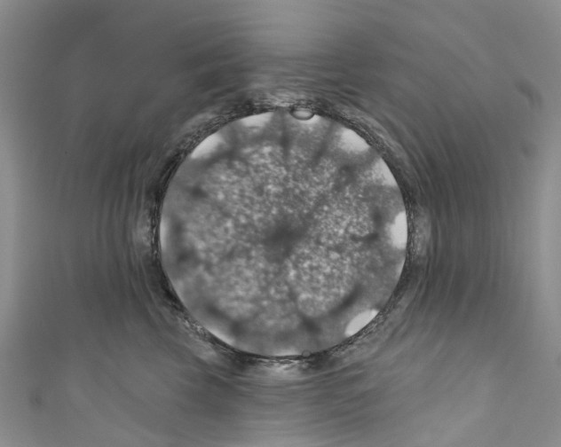 X0000110700569200907241127