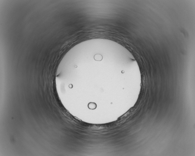 X0000110700570200907241127