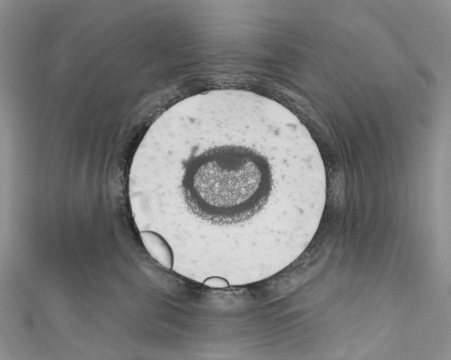X0000110700571200907241127