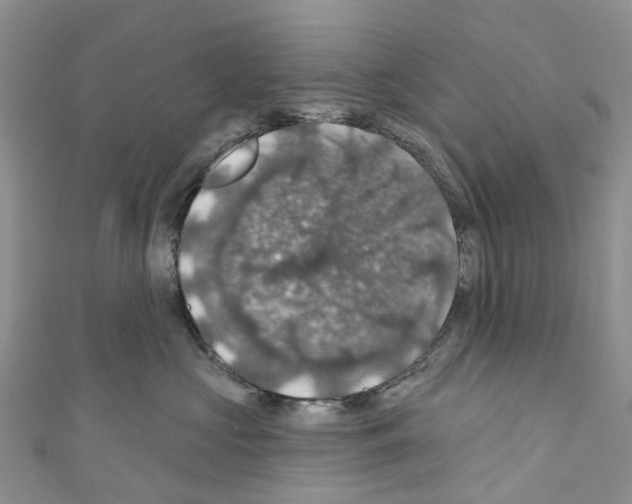 X0000110700573200907241127