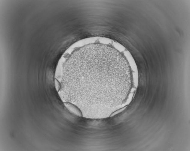 X0000110700575200907241127