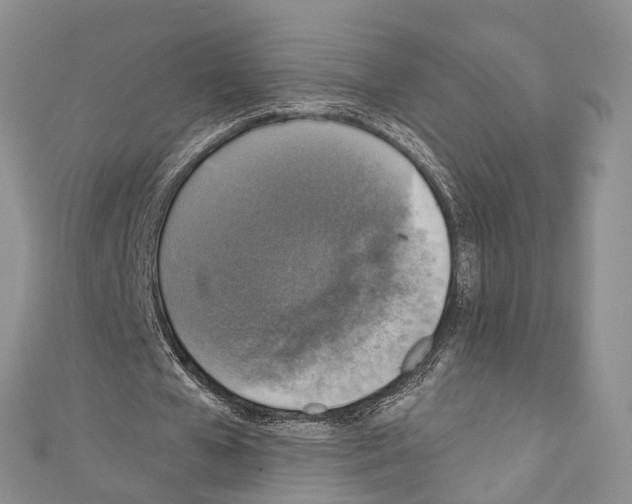 X0000110700577200907241126