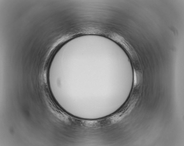 X0000110700579200907241126