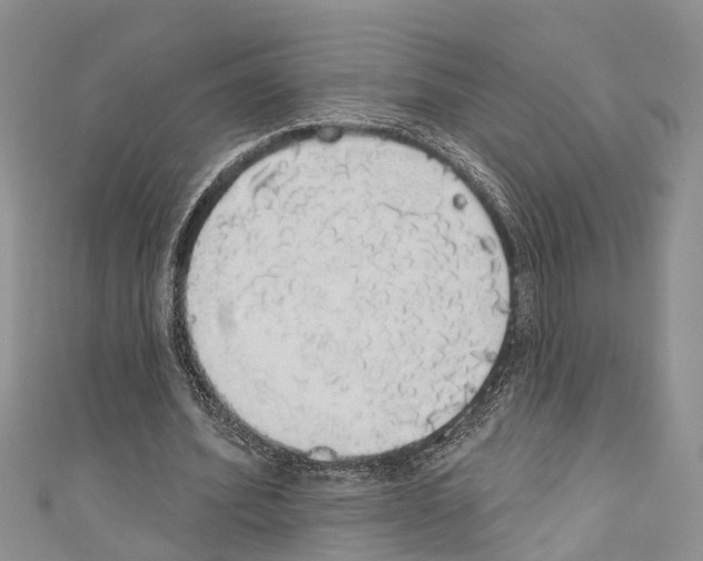 X0000110700580200907241126