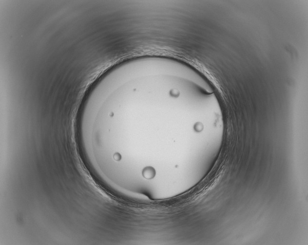 X0000110700581200907241126