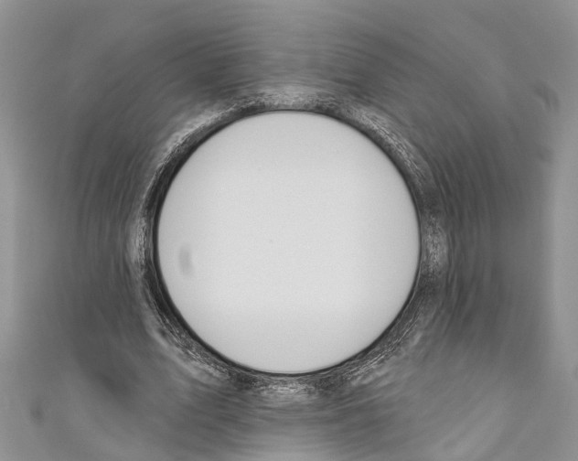 X0000110700583200907241126