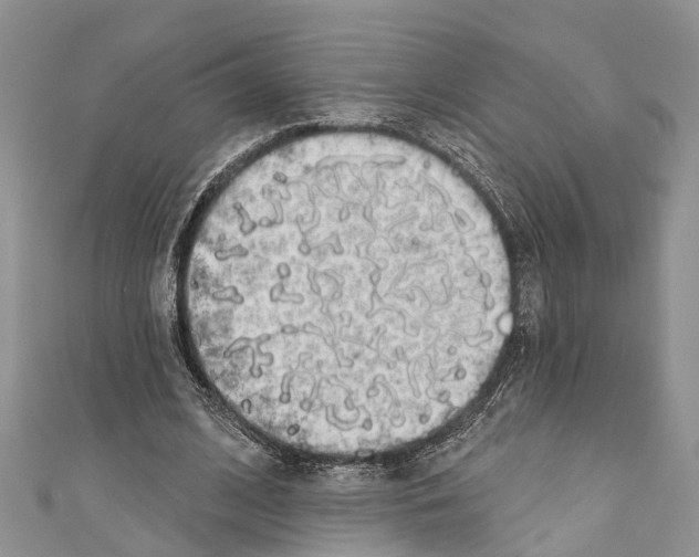 X0000110700584200907241126