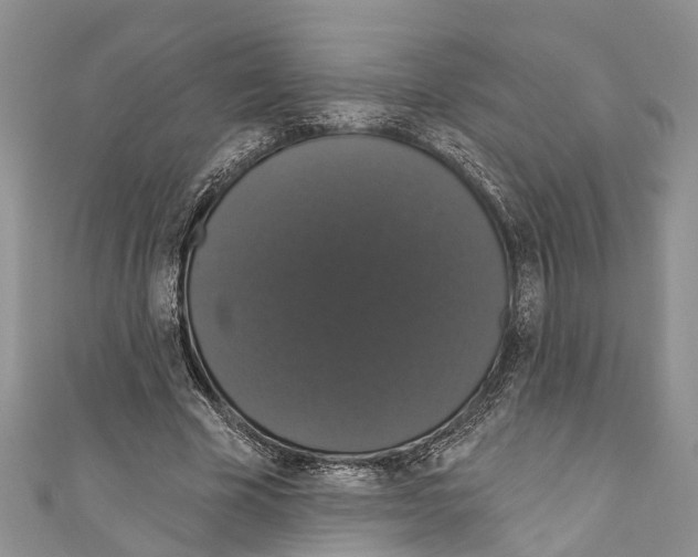 X0000110700585200907241126