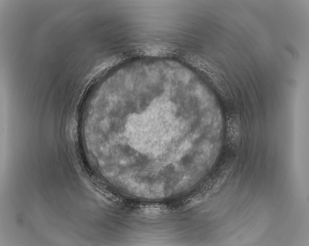 X0000110700587200907241126
