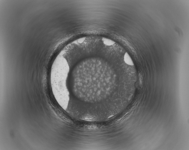 X0000110700588200907241126