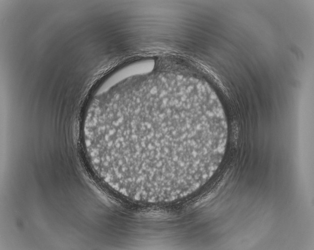 X0000110700589200907241126