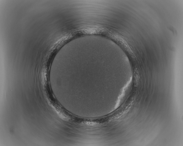 X0000110700590200907241126