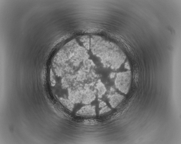 X0000110700591200907241126