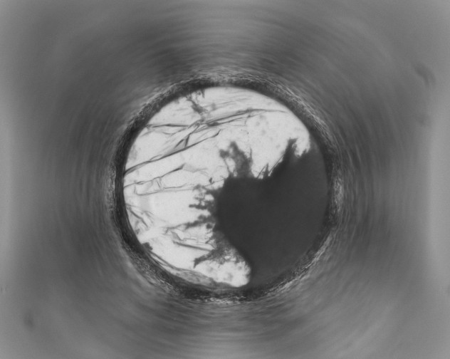 X0000110700592200907241126