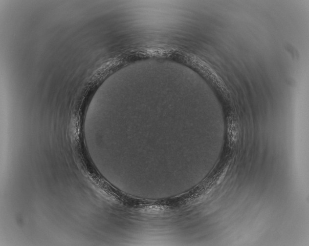X0000110700593200907241126