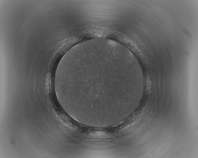 X0000110700594200907241126