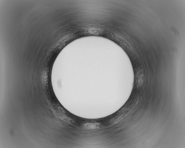 X0000110700595200907241126