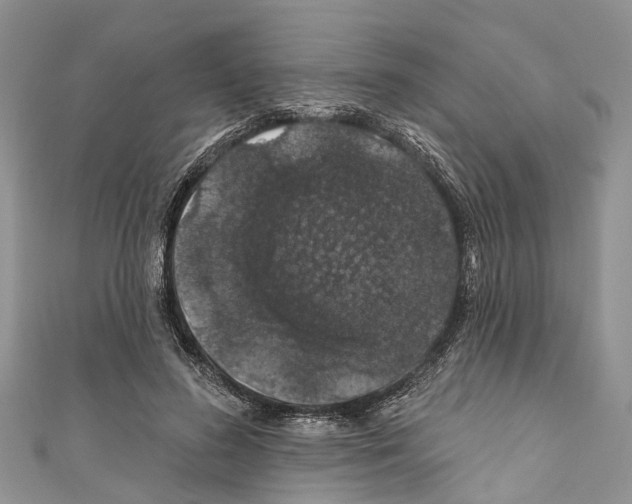 X0000110700596200907241126