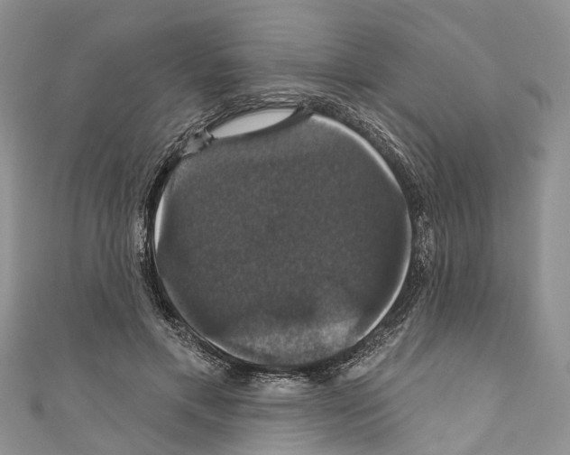 X0000110700597200907241126