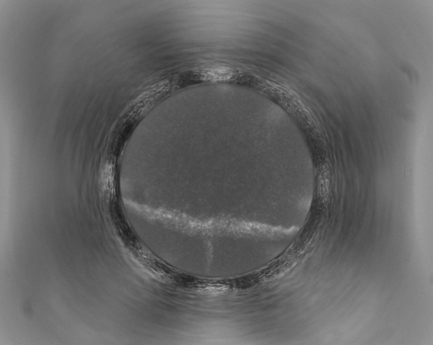 X0000110700598200907241126