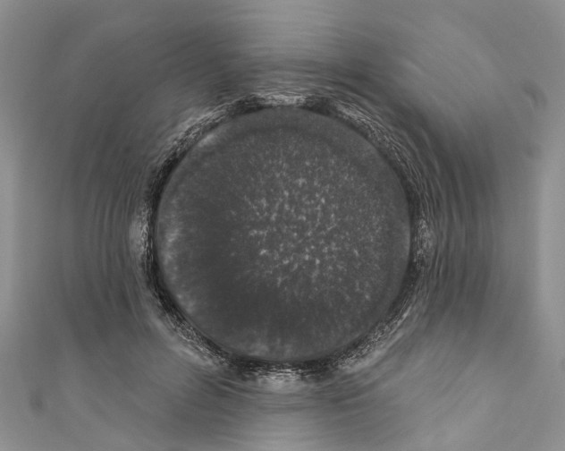 X0000110700600200907241126