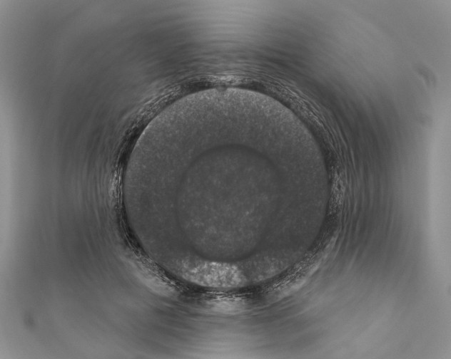 X0000110700601200907241126
