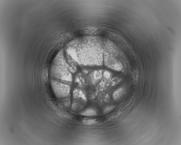 X0000110700602200907241126