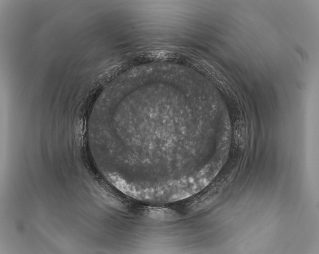 X0000110700605200907241126