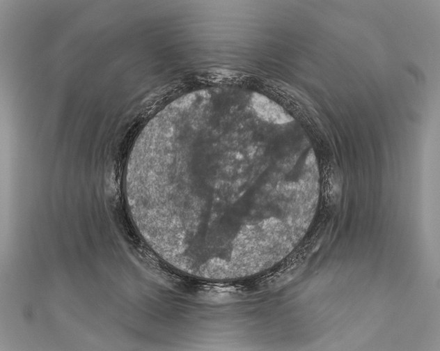 X0000110700607200907241126