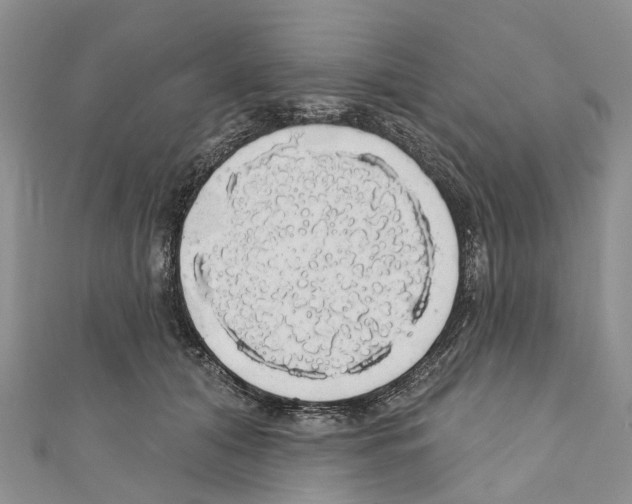 X0000110700608200907241126