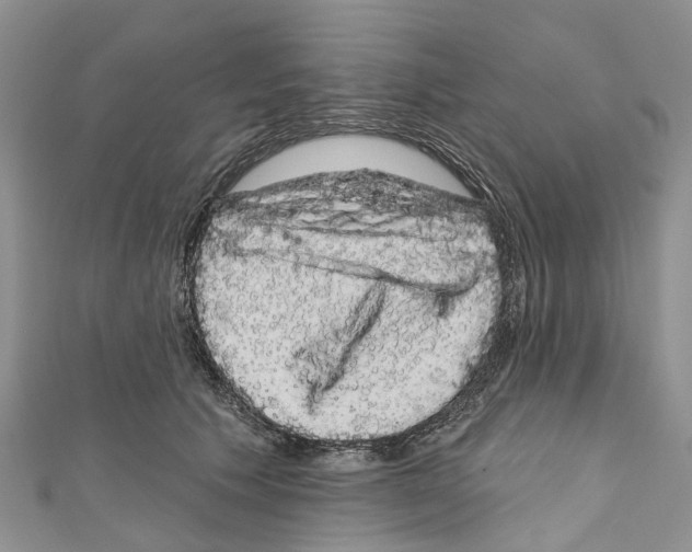 X0000110700609200907241126