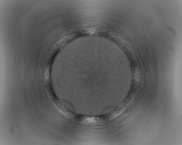 X0000110700611200907241126