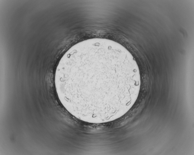 X0000110700612200907241126