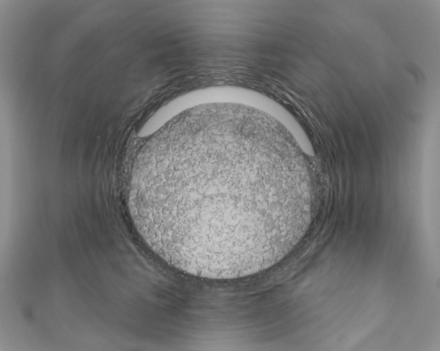 X0000110700613200907241126
