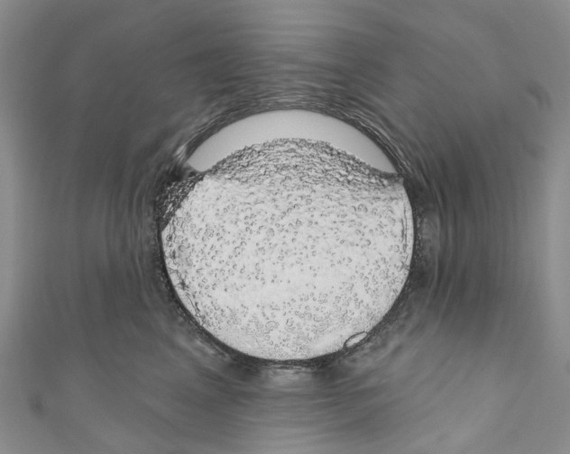 X0000110700617200907241126