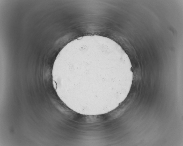 X0000110700623200907241126