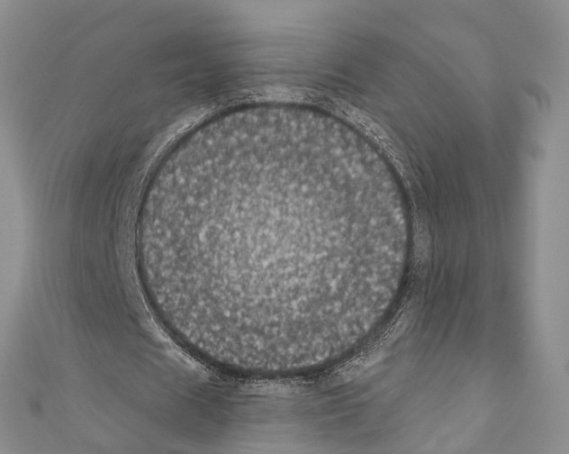 X0000110700625200907241125