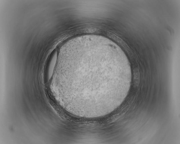 X0000110700626200907241125