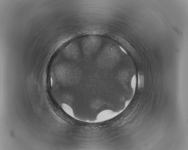 X0000110700627200907241125