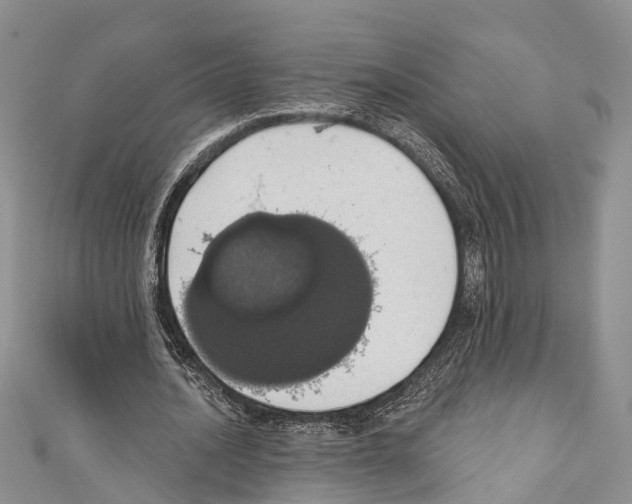 X0000110700628200907241125