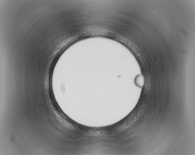 X0000110700629200907241125