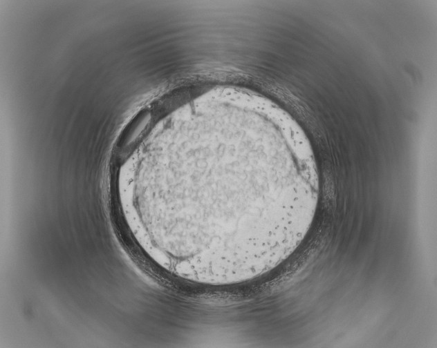 X0000110700630200907241125