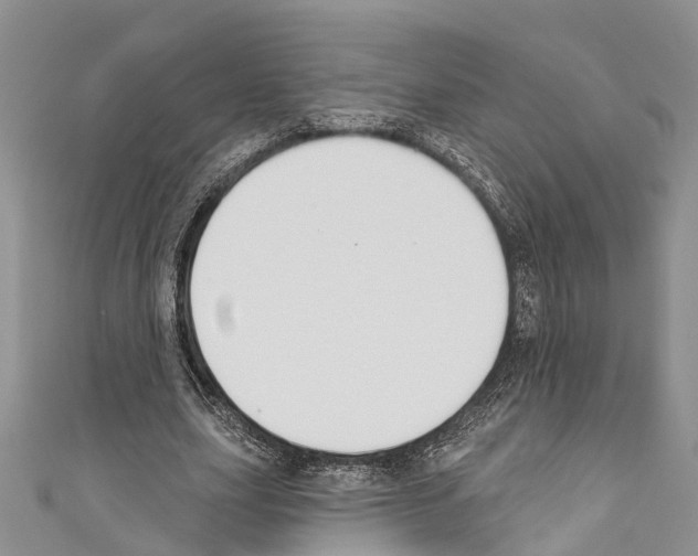 X0000110700631200907241125